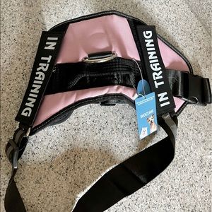 Pink dog harness with in training velcro tags.